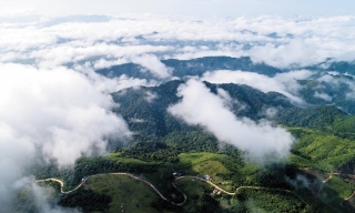 Mênh mang Đồng Cao